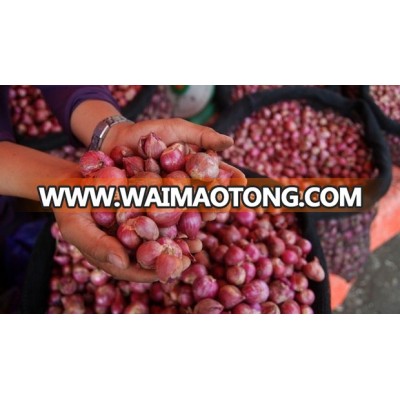 Fresh Vegetables Indian Small Onion Exporters