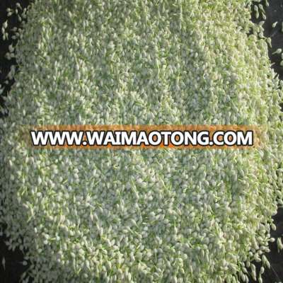 Fresh Jasmine Flower - Free Delivery