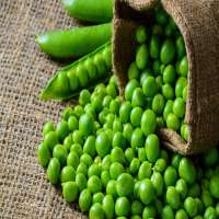 Frozen Green Peas /Best Price and Quality available in stock