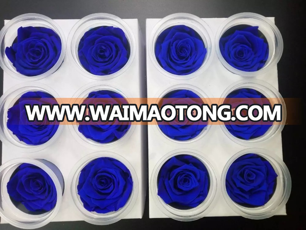 Bulk Wholesale Flowers Wall Wedding Decor Fresh Preserved Flower Blue Rose